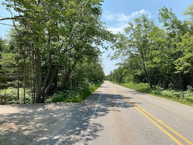 Lot 28 Third Creek Subdivision, Paradise, MI 49768 - photo 3