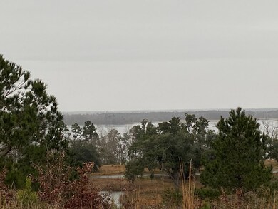 West view