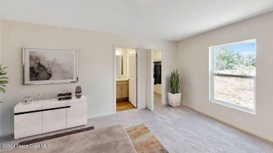 970 La Belle Ave SW, Palm Bay, FL 32908 - photo 7