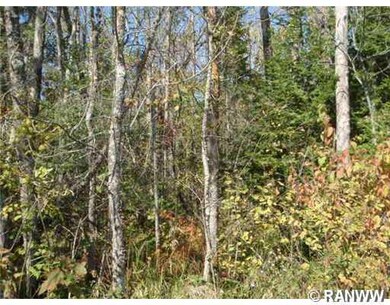 0 Edming Rd, True, WI 54526 - photo 3