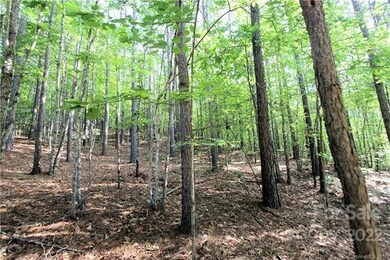 0 Chasewood Dr unit 8, Rutherfordton, NC 28139 - photo 4