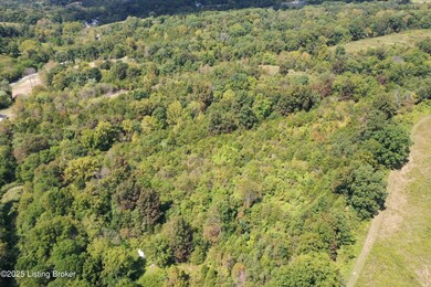 2450 Ashes Creek Rd, Bloomfield, KY 40008 - photo 4