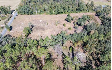 TBD 129th Rd, Live Oak, FL 32060 - photo 5