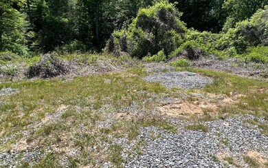 393 Old Orchard Rd, Ellijay, GA 30536 - photo 3