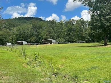 304 Carlton Rd, Scottsboro, AL 35769 - photo 2