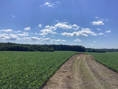 0 Swor Rd, Springville, TN 38256 - photo 6