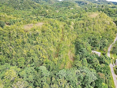 PR-446 Km 7 5, Isabela, PR 00662 - photo 4