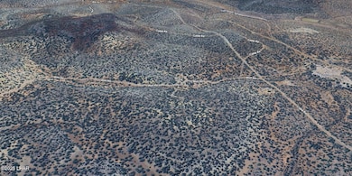 Screenshot_7-5-2025_13175_earth.google.c