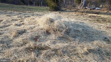 2 Trough Overlook Rd, Old Fields, WV 26845 - photo 3