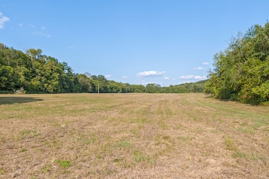 0 Craig Bridge Rd, Williamsport, TN 38487 - photo 5