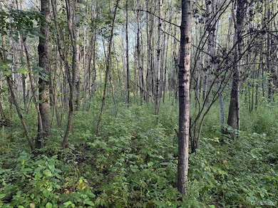 TBD85 Sidnaw Rd S, Sidnaw, MI 49961 - photo 5