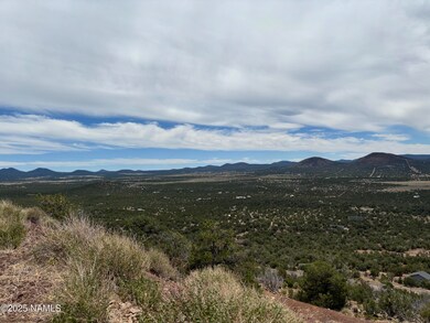 1123 E Broken Arrow Dr, Red Lake, AZ 86046 - photo 6