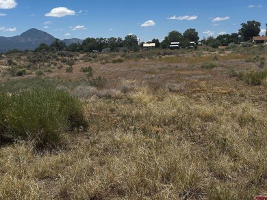 TBD S Chestnut St, Cortez, CO 81321 - photo 7