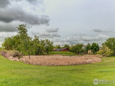 5233 E 130th Way, Thornton, CO 80241 - photo 3