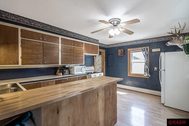 320 Market St, Le Sueur, MN 56058 - photo 4