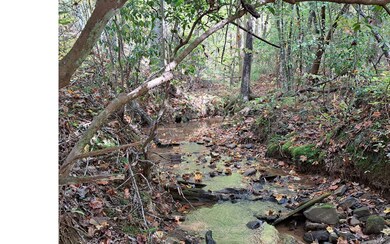 Additional View