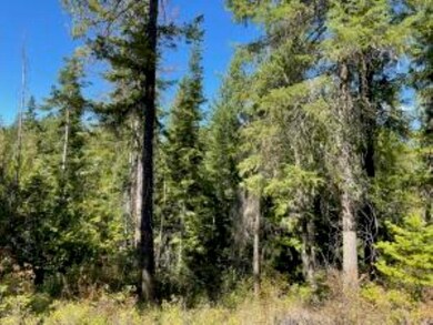 XXXX Burnt Valley Rd, Chewelah, WA 99109 - photo 4