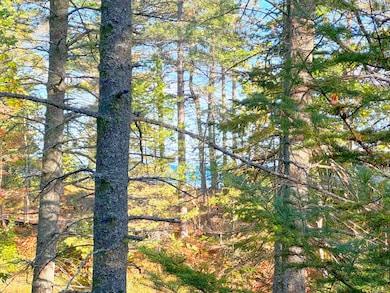 LOT 7 Third Creek Subdivision, Paradise, MI 49768 - photo 2