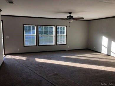 18344 Highway 125, Brundidge, AL 36010 - photo 4