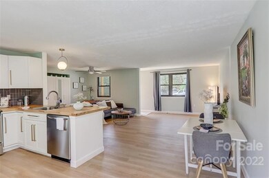 4 High Meadow Rd, Asheville, NC 28803 - photo 5