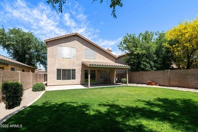 View of Backyard