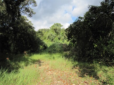 22907 Edward Ln, Tomball, TX 77377 - photo 3