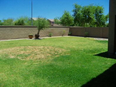 backyard 3