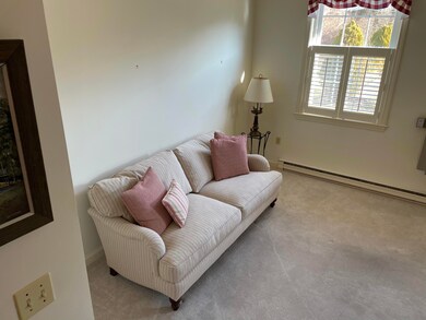 Plantation Shutters on Large Windows