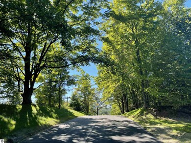 5951 Stagecoach Rd, Paradise, MI 49649 - photo 6