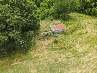 dji_fly_20240703_120012_946_172002602456