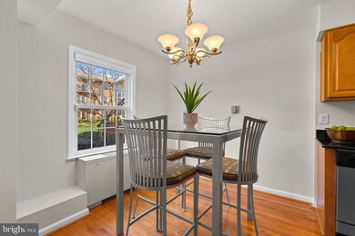 3336 Spring Ln unit A-26, Baileys Crossroads, VA 22041 - photo 6