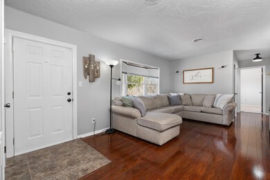 15-web-or-mls-DSC05852