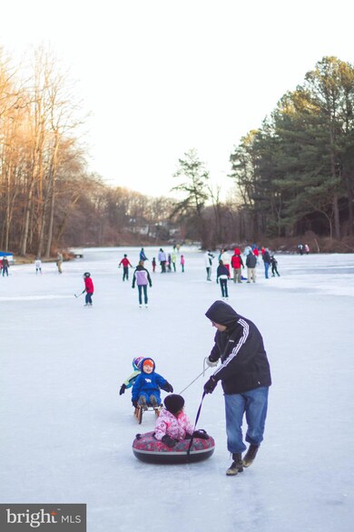 3405 Grass Hill Terrace, Falls Church, VA 22044 - photo 6