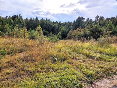 IMG_20200925_173326936_HDR