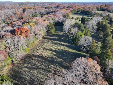 000 Scanlon Dr, de Soto, MO 63020 - photo 4