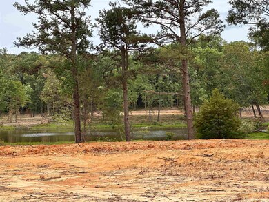 1136 Stagecoach Blvd, Cabot, AR 72023 - photo 6