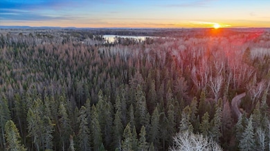 TBD Arthur Lake, Babbitt, MN 55706 - photo 4