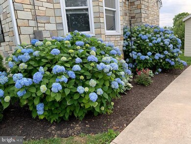 411 S 11th St, Purcellville, VA 20132 - photo 6
