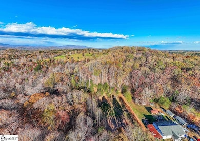 0 Coleman Trail, Travelers Rest, SC 29690 - photo 5