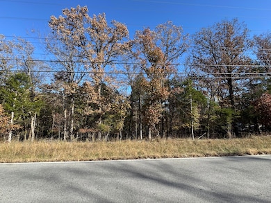 000 Missouri 176, Rockaway Beach, MO 65740 - photo 3