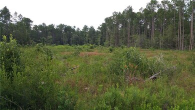 0 Hudson Street Extension, Pearl River, LA 70452 - photo 4