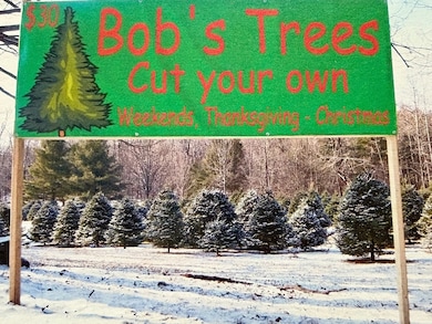 10 Maple St, Plainfield, MA 01070 - photo 3