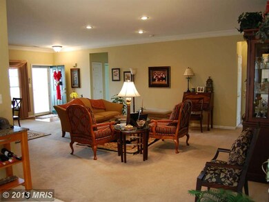 11100 Williamsburg Ct, Fredericksburg, VA 22407 - photo 6