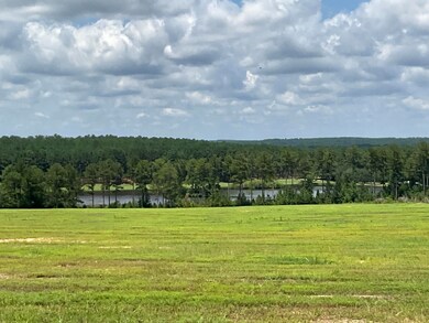 IMG_0969