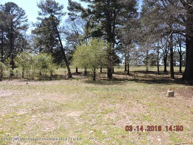 860 E Commerce St, Hernando, MS 38632 - photo 2