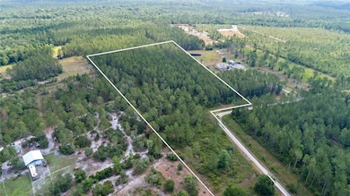 0 Wild Cur Rd, Pierson, FL 32180 - photo 2