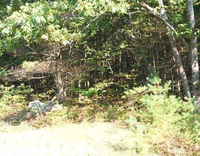 Land/Lot.