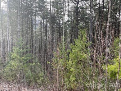 29 Tallwood Rd, Leicester, NC 28748 - photo 4