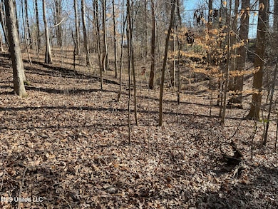 2311 Pocahontas Cove, Hernando, MS 38632 - photo 5