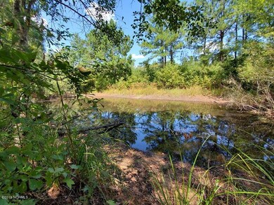 Pond